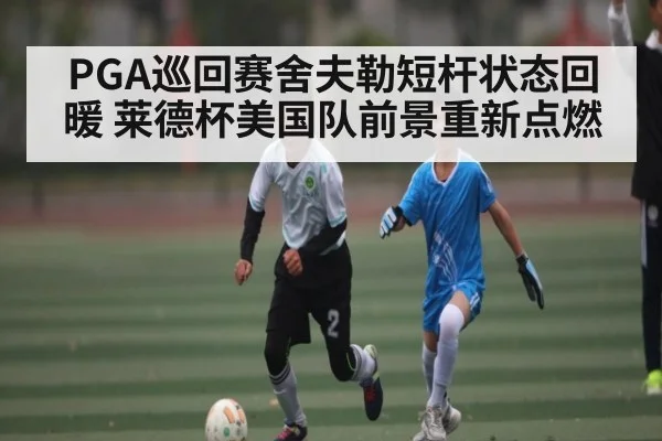 PGA巡回赛舍夫勒短杆状态回暖 莱德杯美国队前景重新点燃
